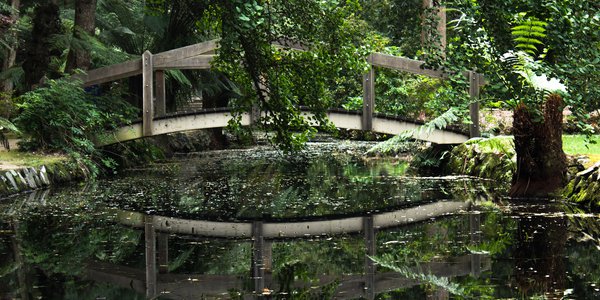Alfred_Nicholas_Gardens_1.jpg