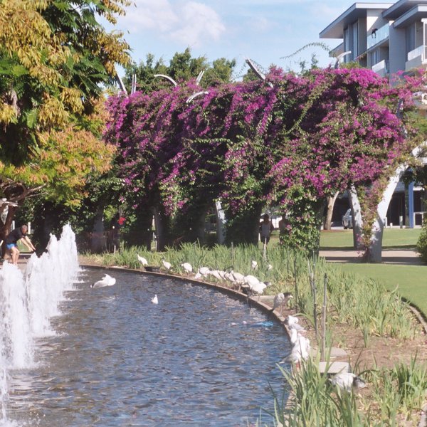 Streets Beach at South Bank Parklands - eat South Bank