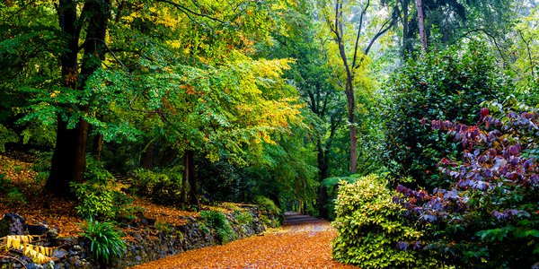 Alfred_Nicholas_Gardens_7.jpg