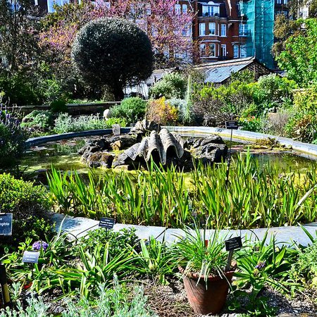 Chelsea_Physic_Garden_6.jpg