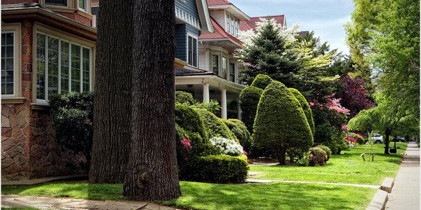 Ditmas_Park_3.jpg