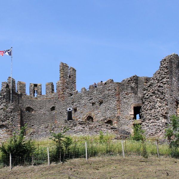 Dudley Castle CityDays