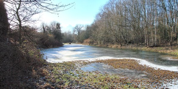 Fletcher_Moss_Park_2.jpg