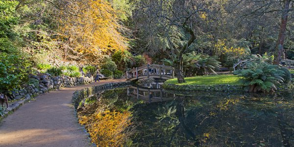 Alfred_Nicholas_Gardens_3.jpg