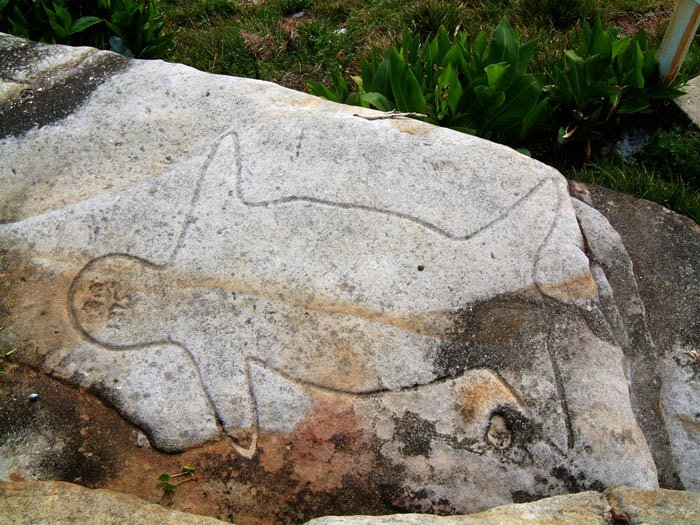 Aboriginal Rock Engravings - Sydney, Australia | CityDays