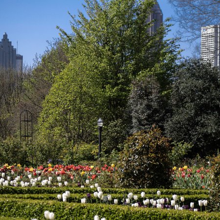 Atlanta Botanical Gardens