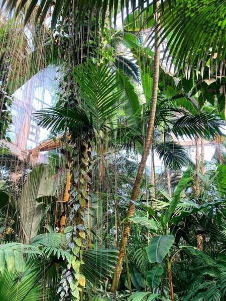 Atlanta Botanical Gardens 14