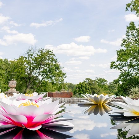 Atlanta Botanical Gardens 3