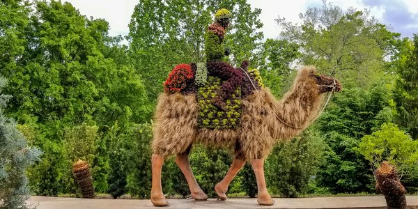 Atlanta Botanical Gardens 4