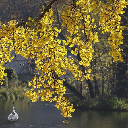 Bartram's Garden 3