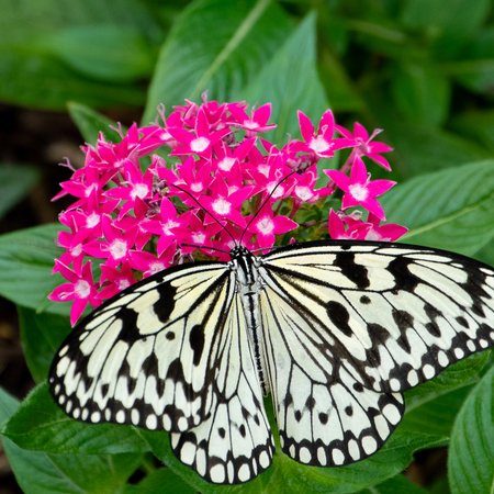 Callaway Gardens 2