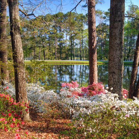 Callaway Gardens 3