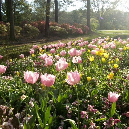 Callaway Gardens 6