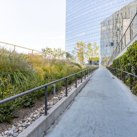Cira Green