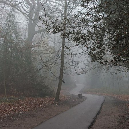 Endcliffe Park 2.jpg