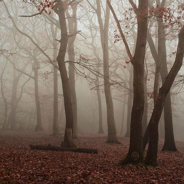 Endcliffe Park 4.jpg