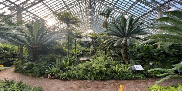 Garfield-park-conservatory.jpg