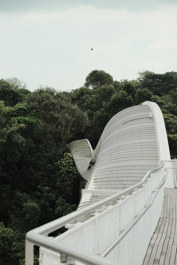 Henderson Waves | CityDays
