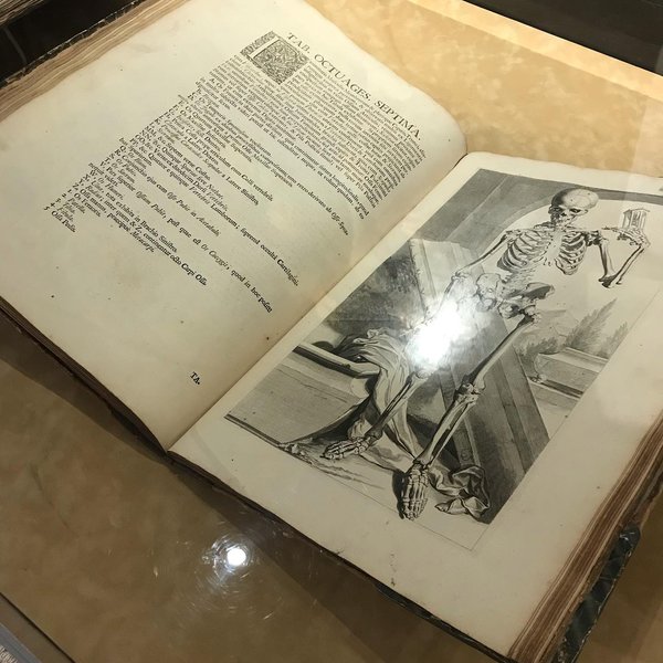 International Museum of Surgical Science 2.jpg