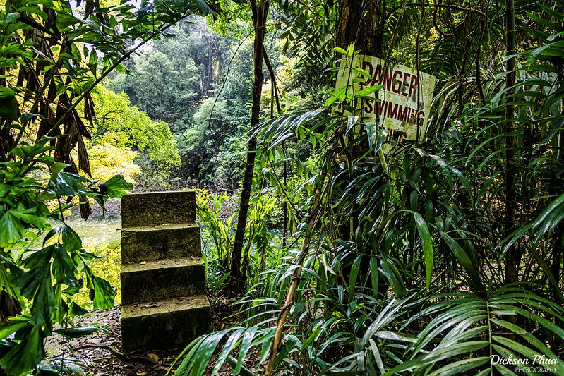 Keppel Hill Reservoir A Haunting Oasis of The Past CityDays