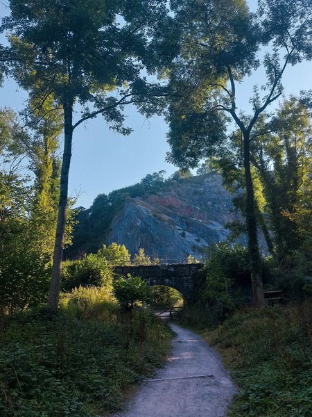 Leigh Woods 4.jpg