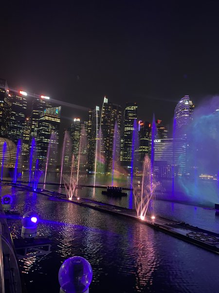 Marina Bay Sands Light Show 11