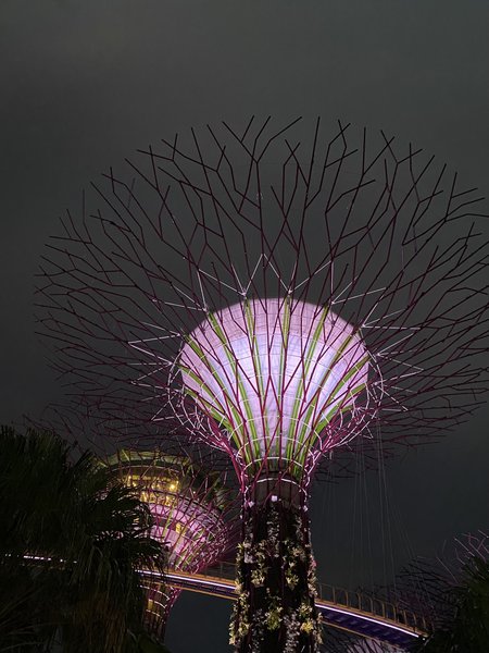 Marina Bay Sands Light Show 4