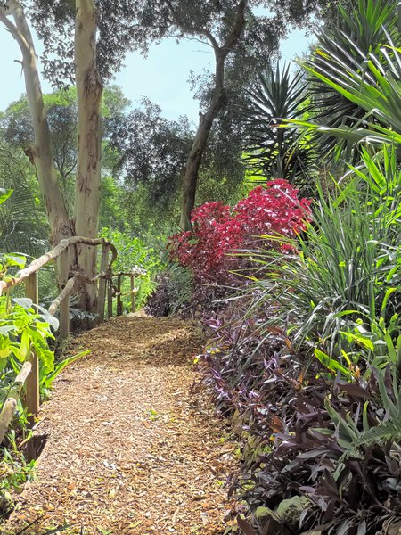 Wendy’s Secret Garden Winding Path.JPEG.jpg