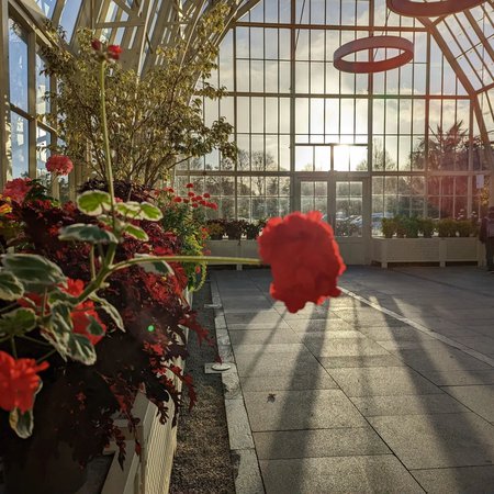 National Botanic Gardens 1.jpg
