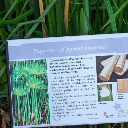 National Botanic Gardens 2.jpg