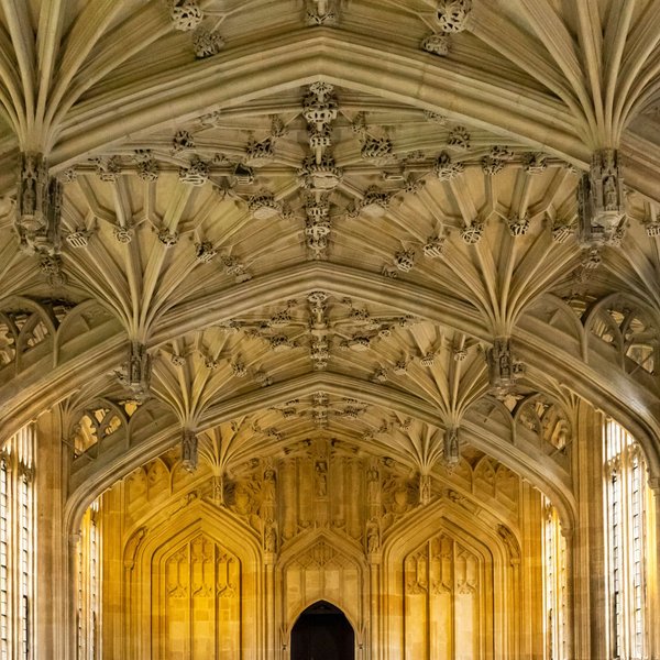 Old Bodleian Library Divinity Hall-2