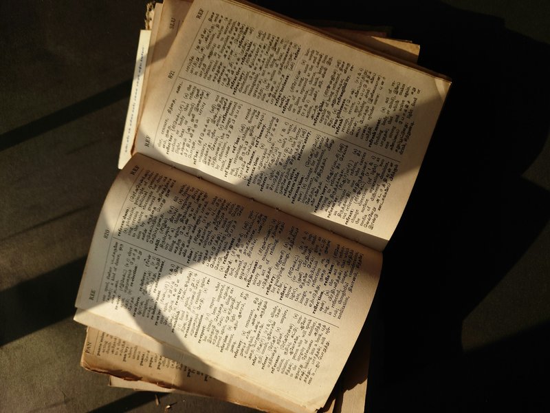 Old_Dictionary_Photograph