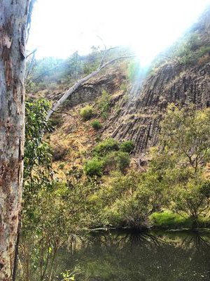 Organ Pipes 2.jpg