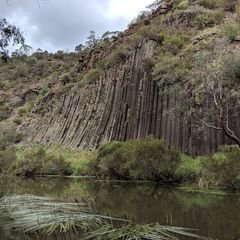 Organ Pipes Eran.jpg