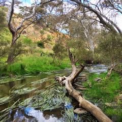 Organ Pipes Trail.jpg