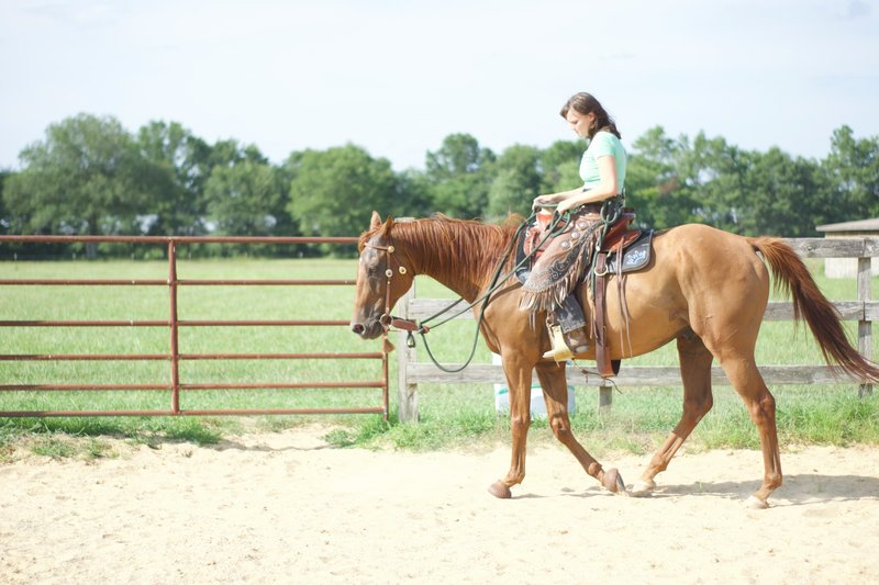 Outdoor activities in Houston 05