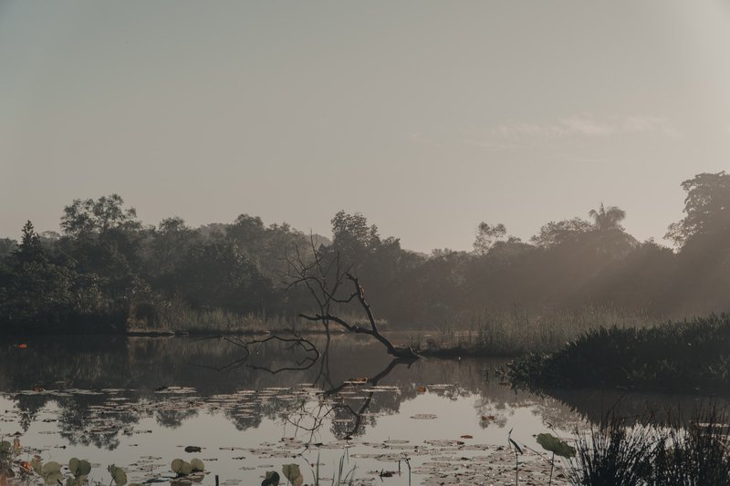 Pulau Ubin in Singapore, the island where you&#x27;ll find the mysterious German Girl Shrine