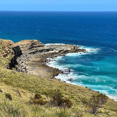 Royal National Park Walks 1