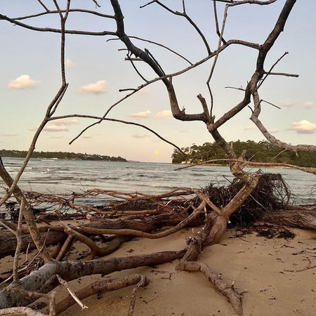 Royal National Park Walks 6