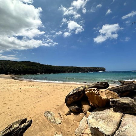 Royal National Park Walks 7