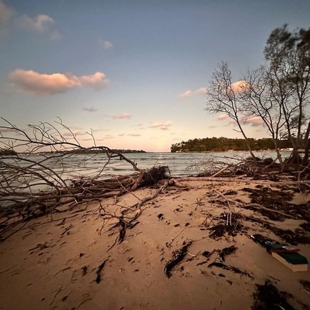 Royal National Park Walks 8