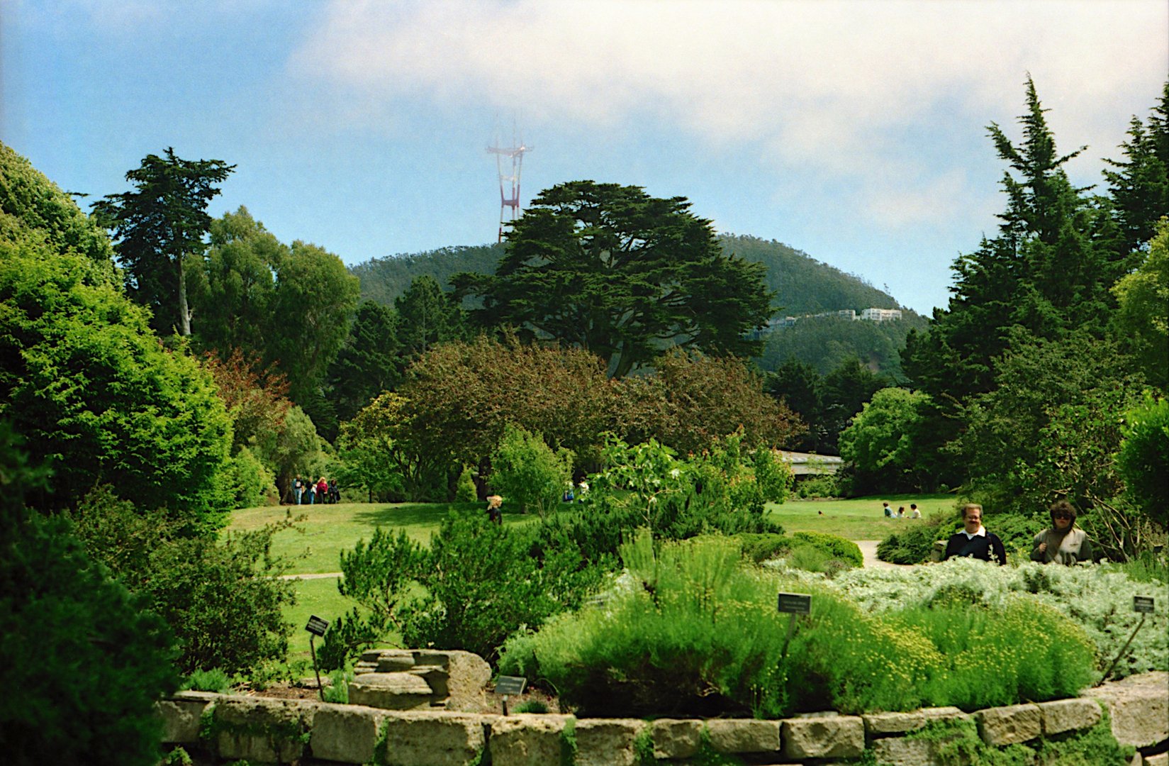 San Francisco Botanical Garden at Strybing Arboretum photo 2