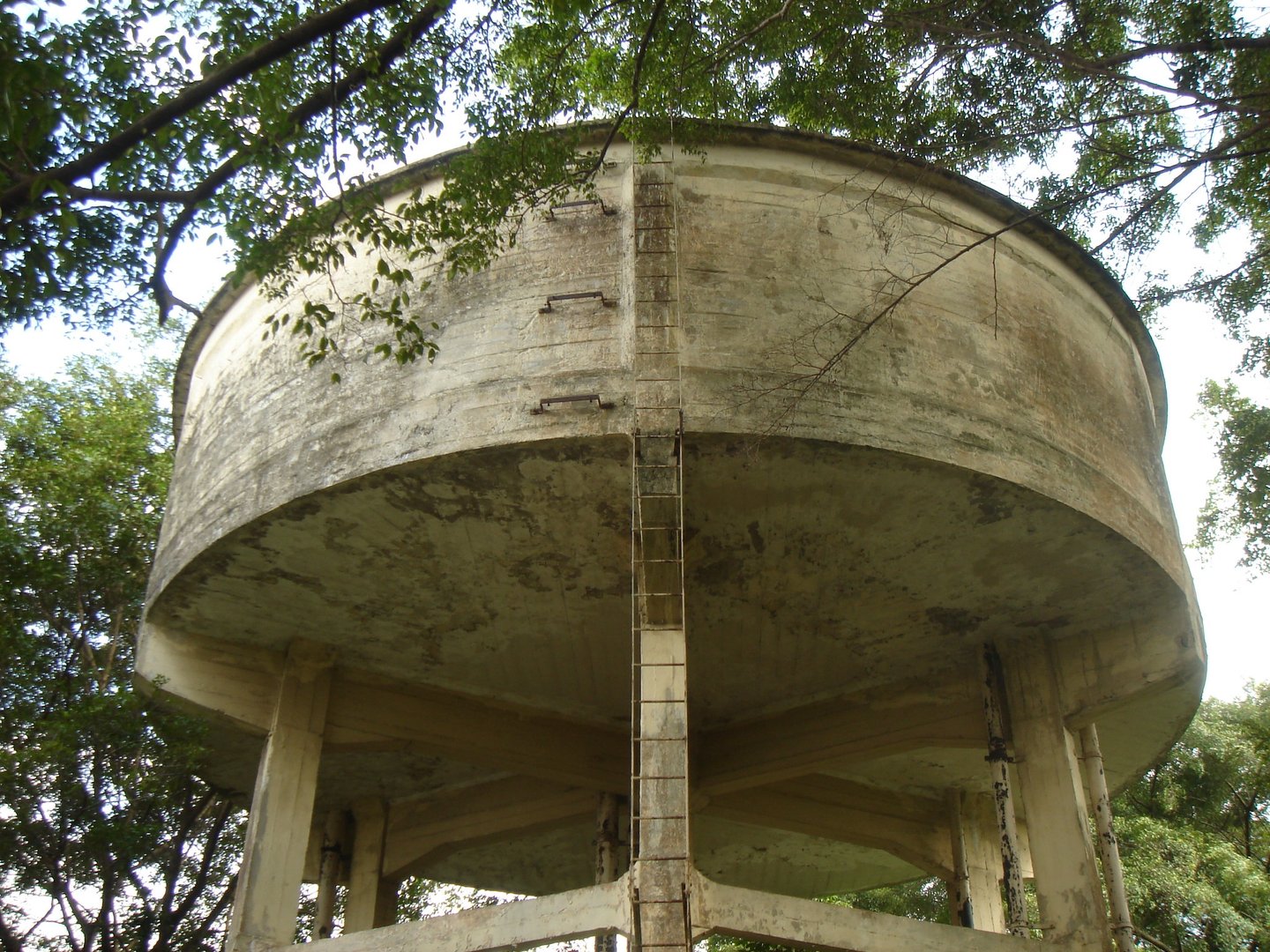 Wessex Estate CityDays