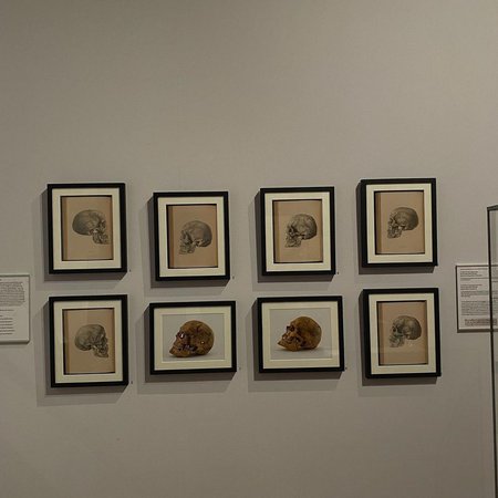 Western Park Museum 3.jpg