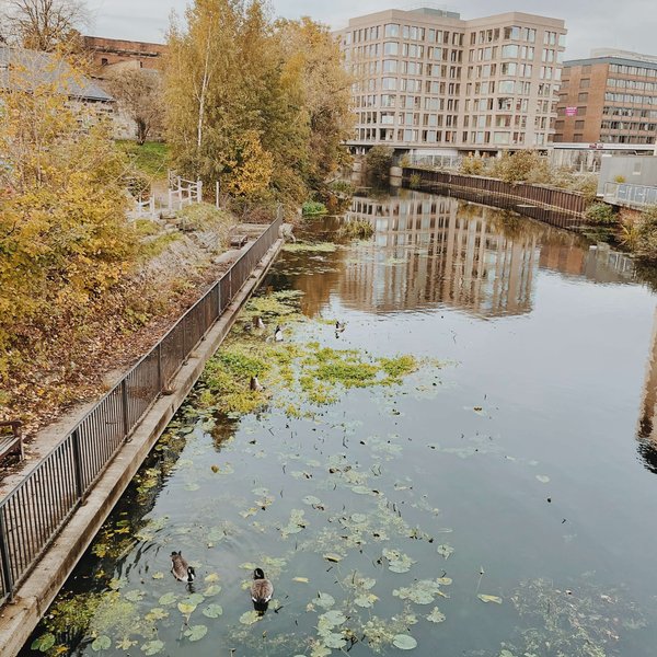 The Ultimate Guide to The Best Walks in York (2023) CityDays