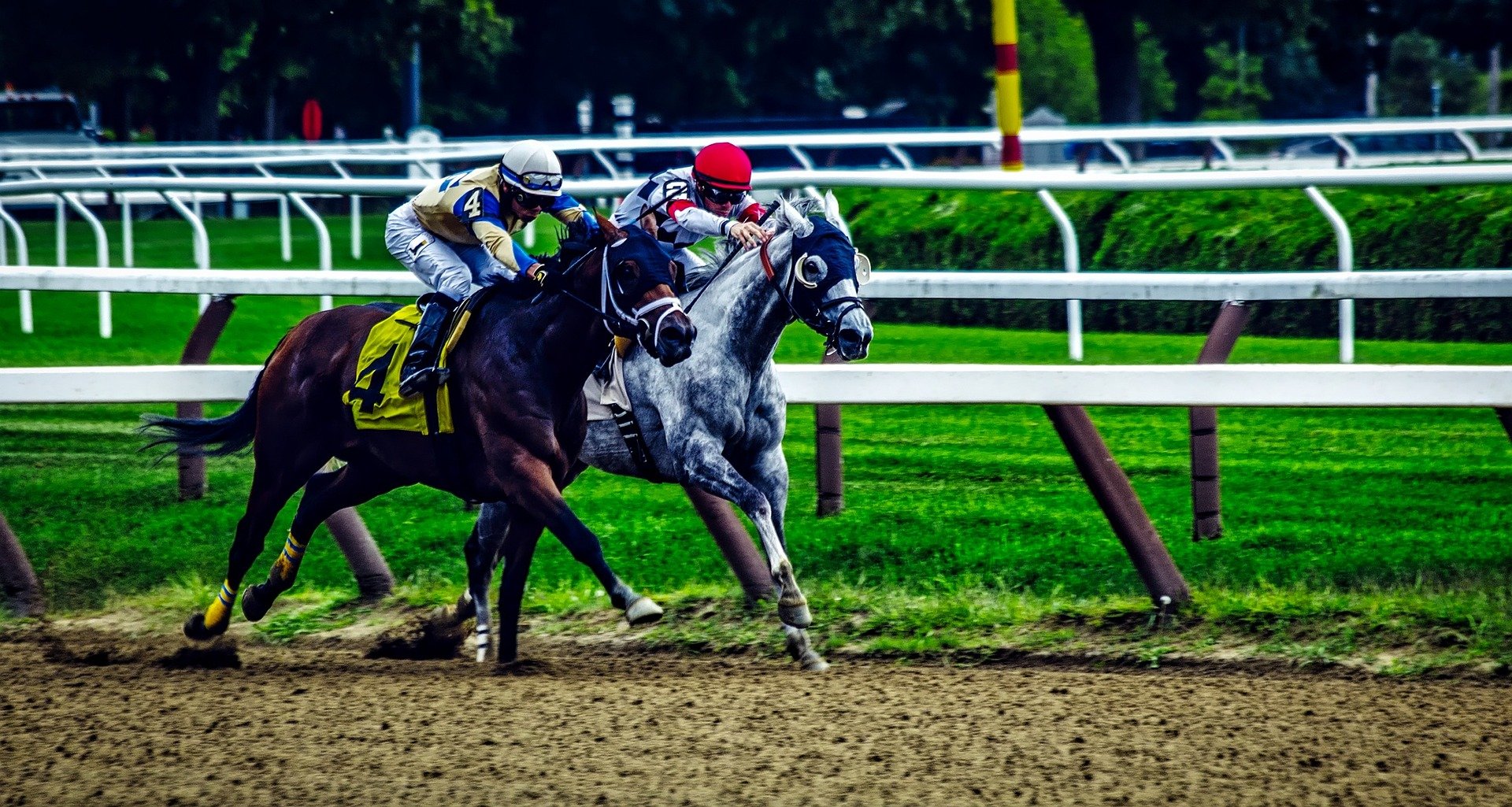 York Races CityDays