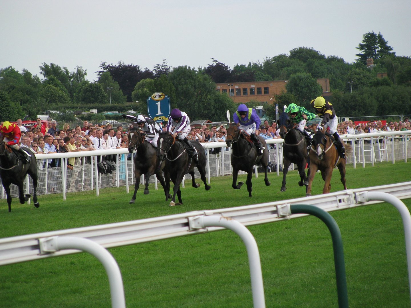 York Races CityDays