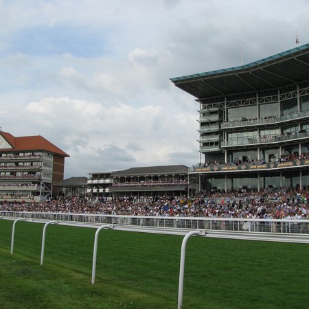 York Races | CityDays