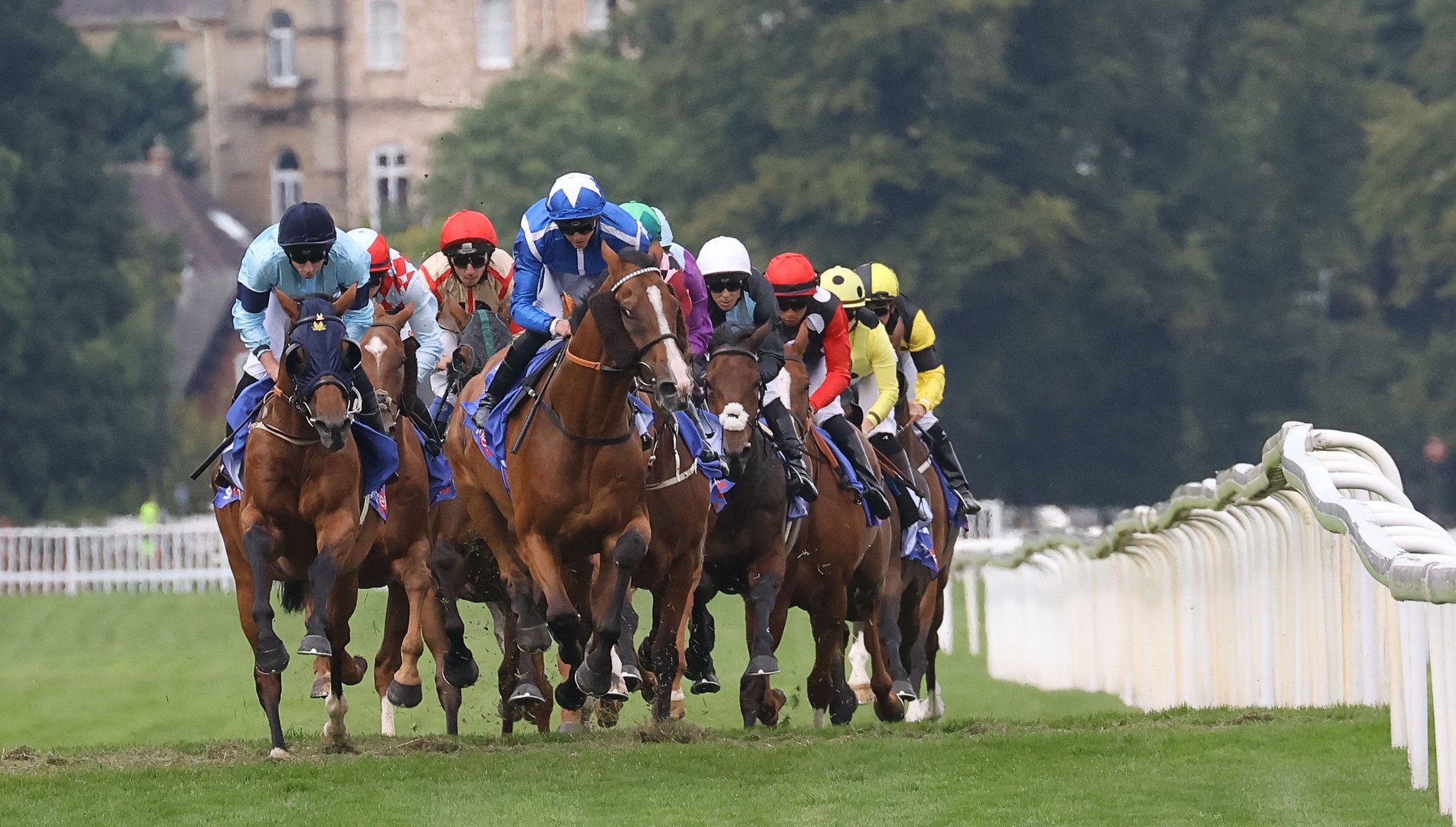 York Races CityDays