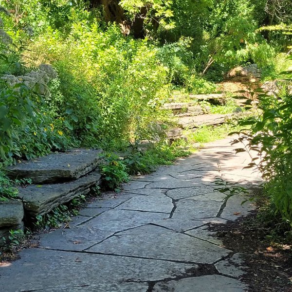 alfred caldwell lily pool 2.jpg